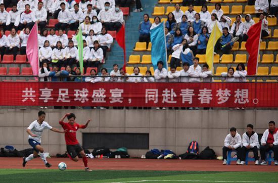 国产综合视频在线观看一区