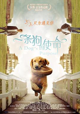 男女男精品网站