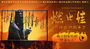 久久精品入口麻豆