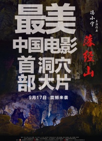 欧美黄带一级公司