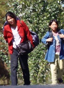 大风歌42全集在线观看