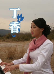 欧美精品久久久久久久免费观看
